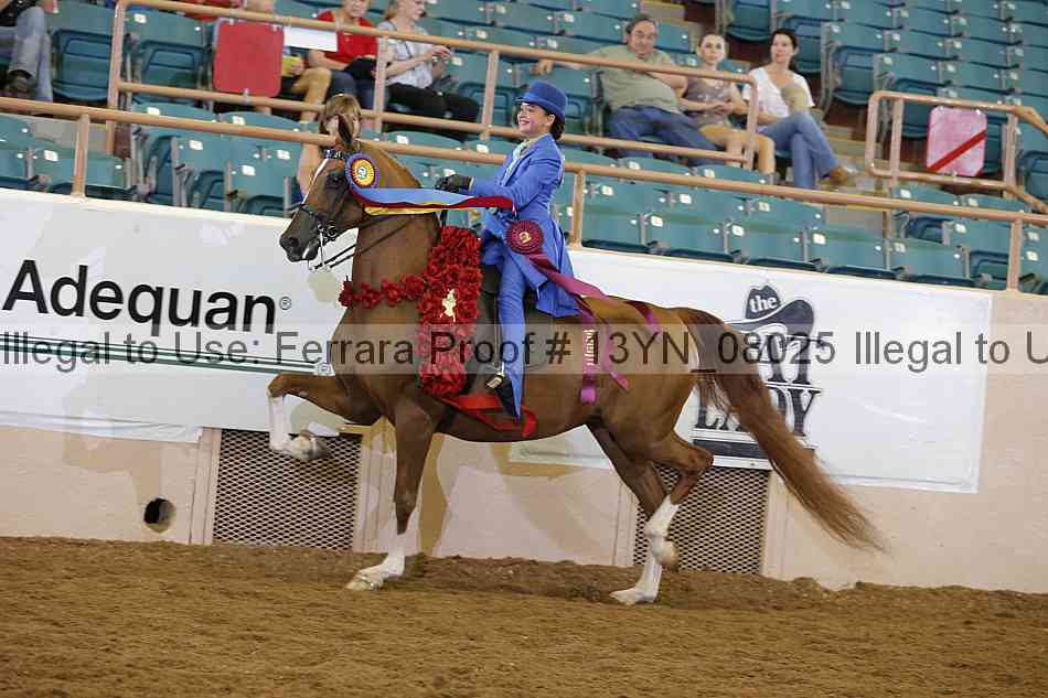 Proof 13yn_08025