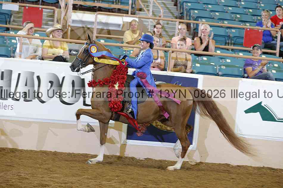 Proof 13yn_08026