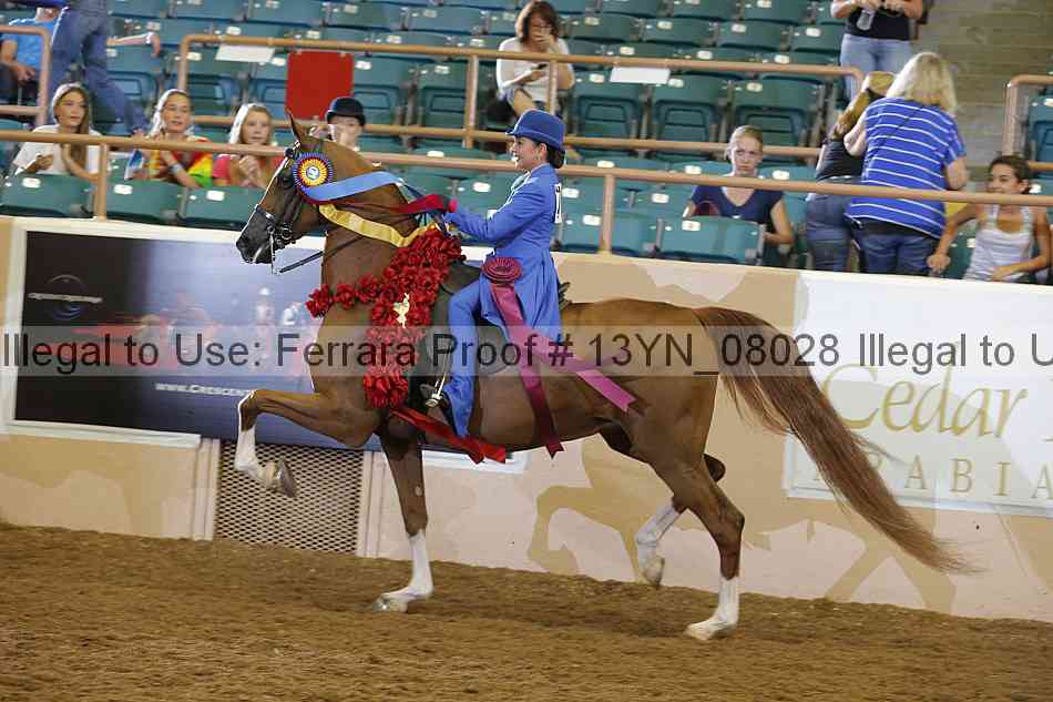 Proof 13yn_08028