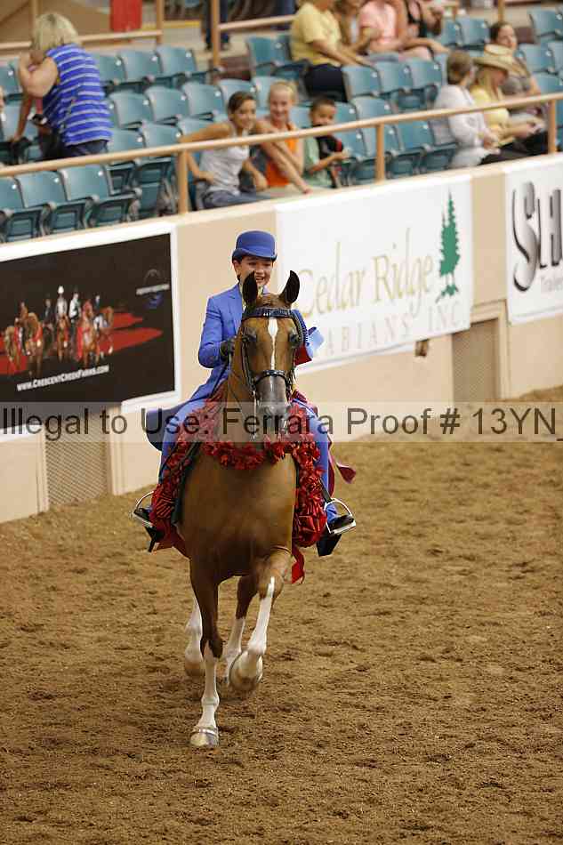 Proof 13yn_08029
