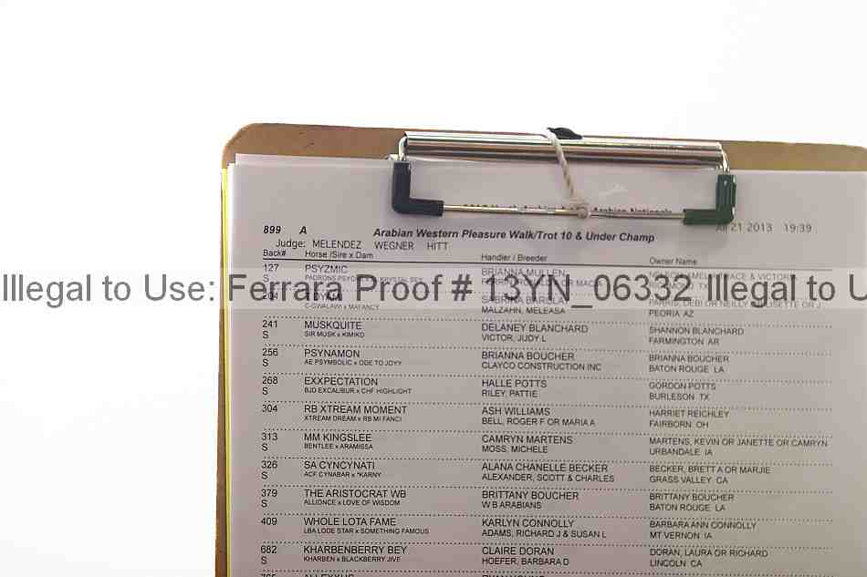 Proof 13yn_06332