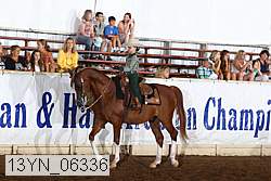 13yn_06336 proof