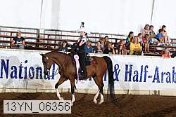 13yn_06356 proof