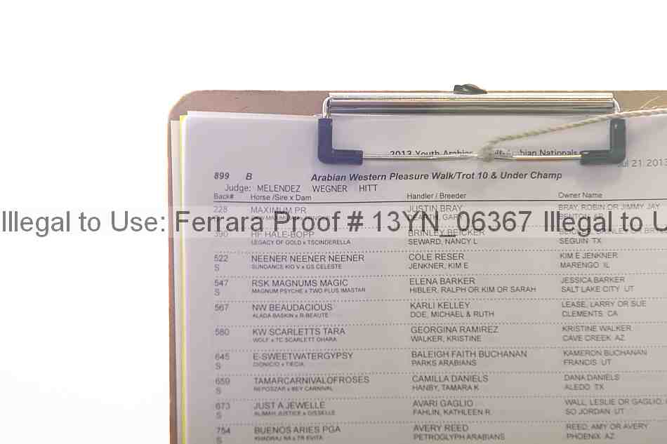 Proof 13yn_06367