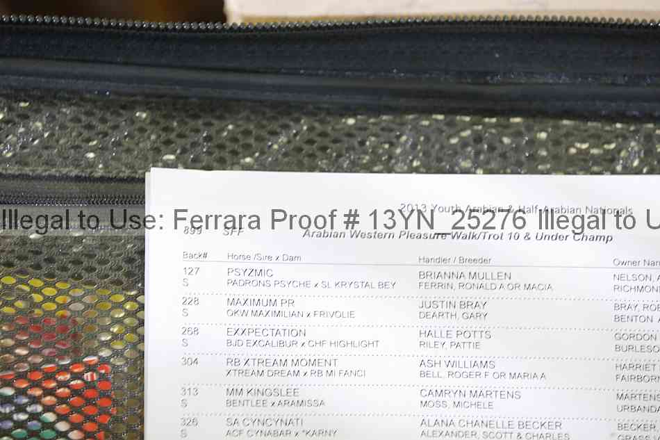 Proof 13yn_25276