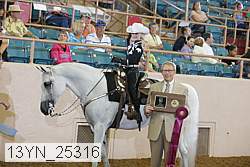 13yn_25316 proof