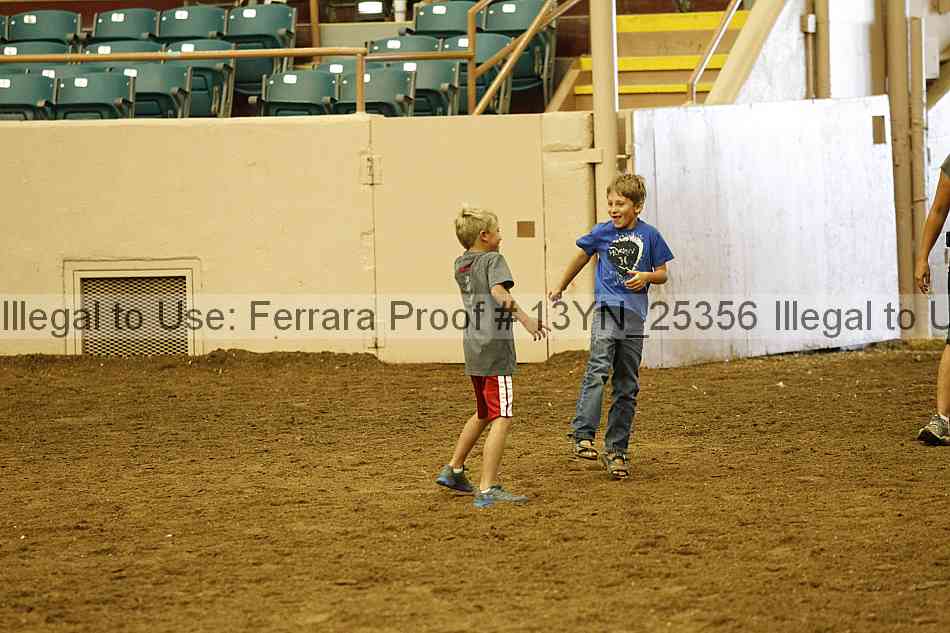 Proof 13yn_25356