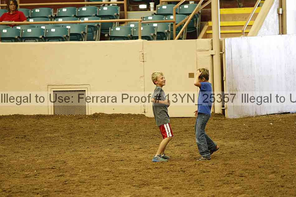Proof 13yn_25357