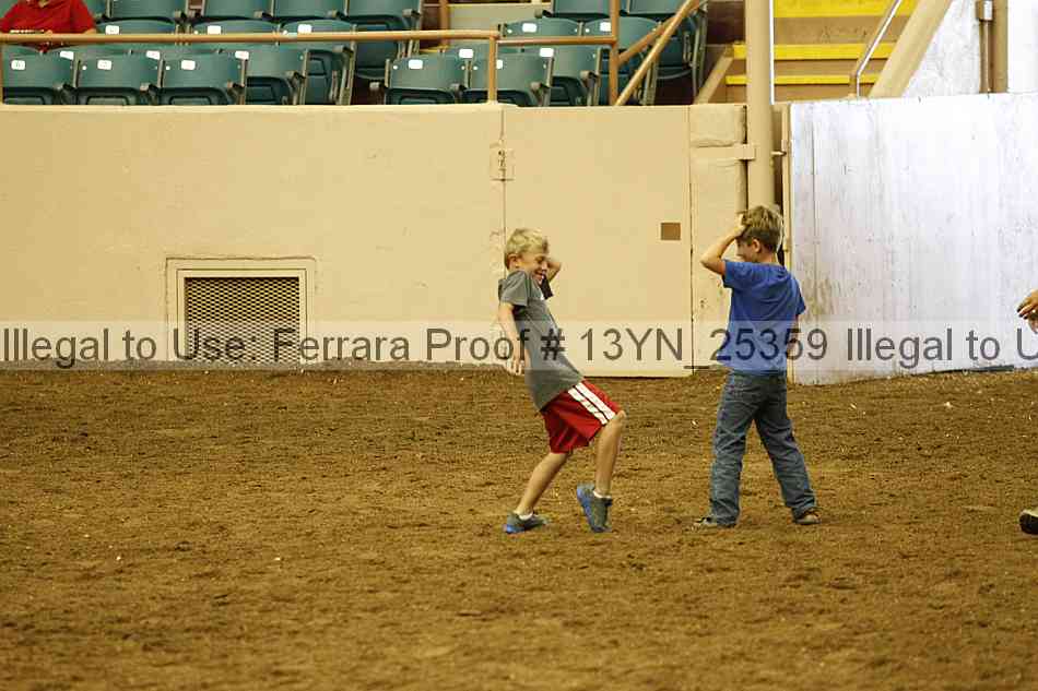 Proof 13yn_25359