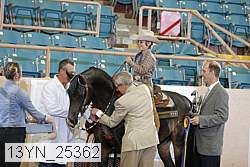 13yn_25362 proof