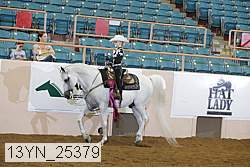 13yn_25379 proof
