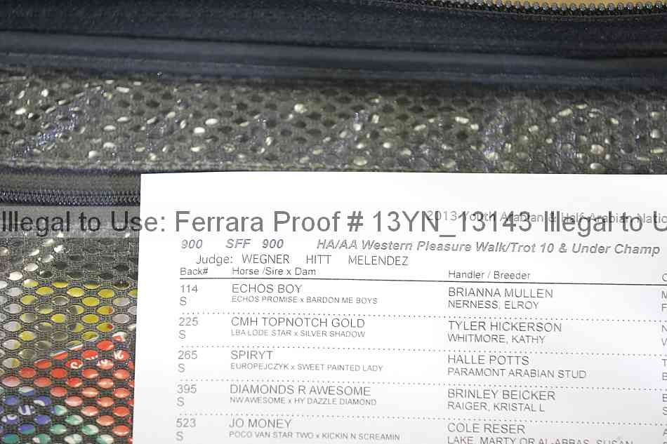 Proof 13yn_13143