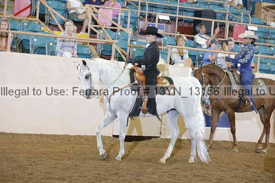 Proof 13yn_13156
