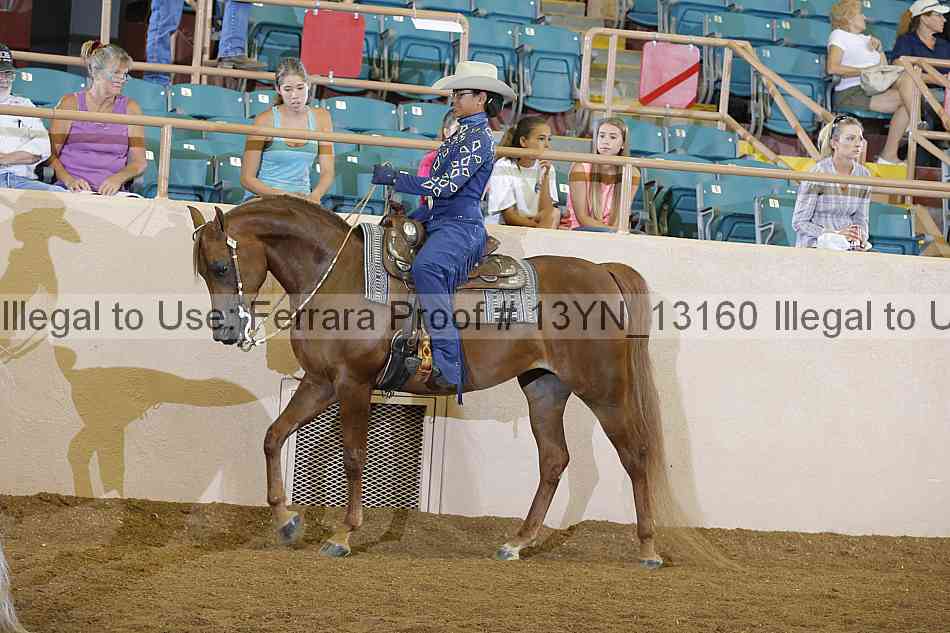 Proof 13yn_13160