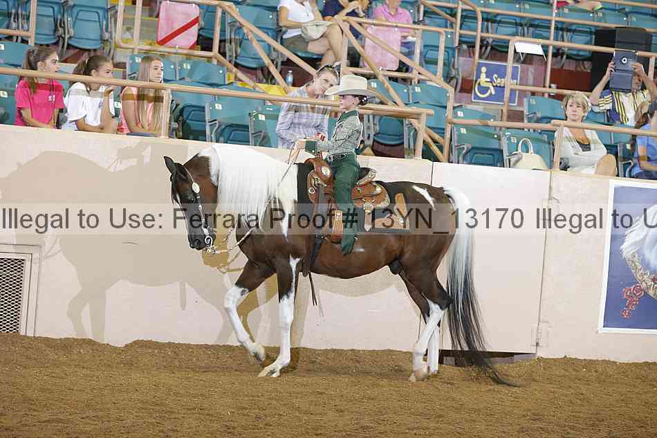 Proof 13yn_13170