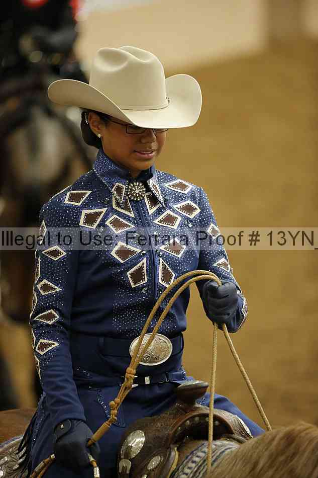 Proof 13yn_13191