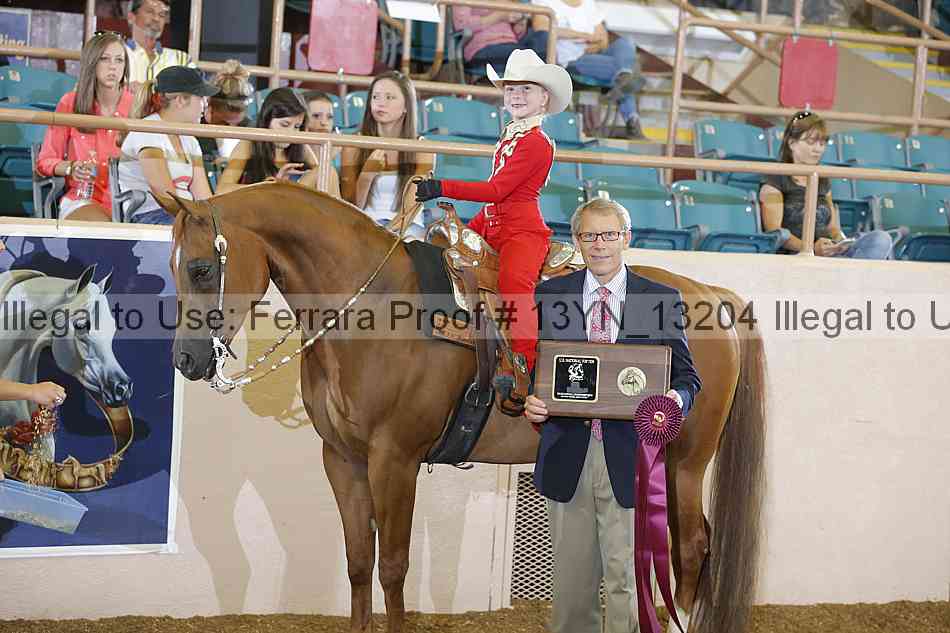 Proof 13yn_13204