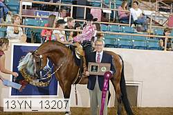 13yn_13207 proof