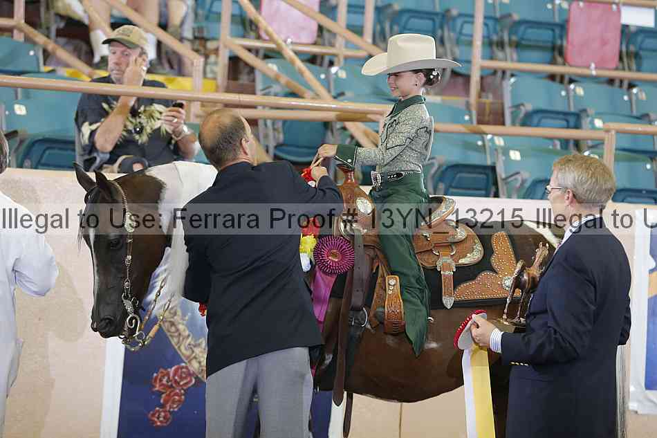 Proof 13yn_13215