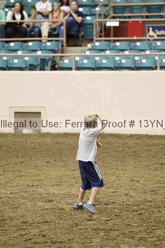 Proof 13yn_13245