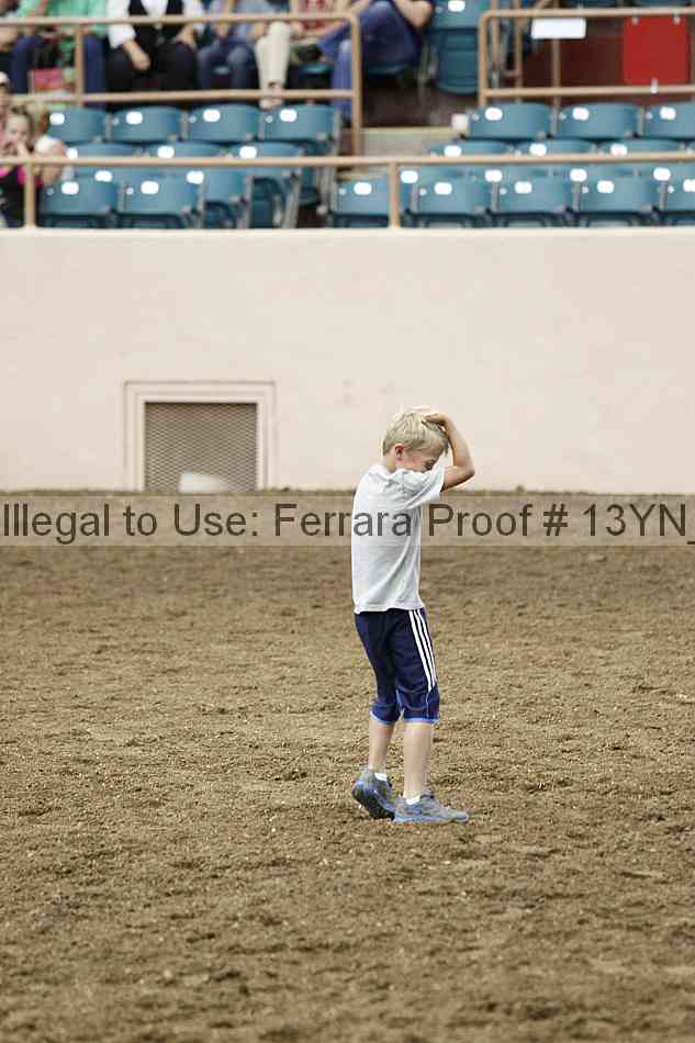 Proof 13yn_13250