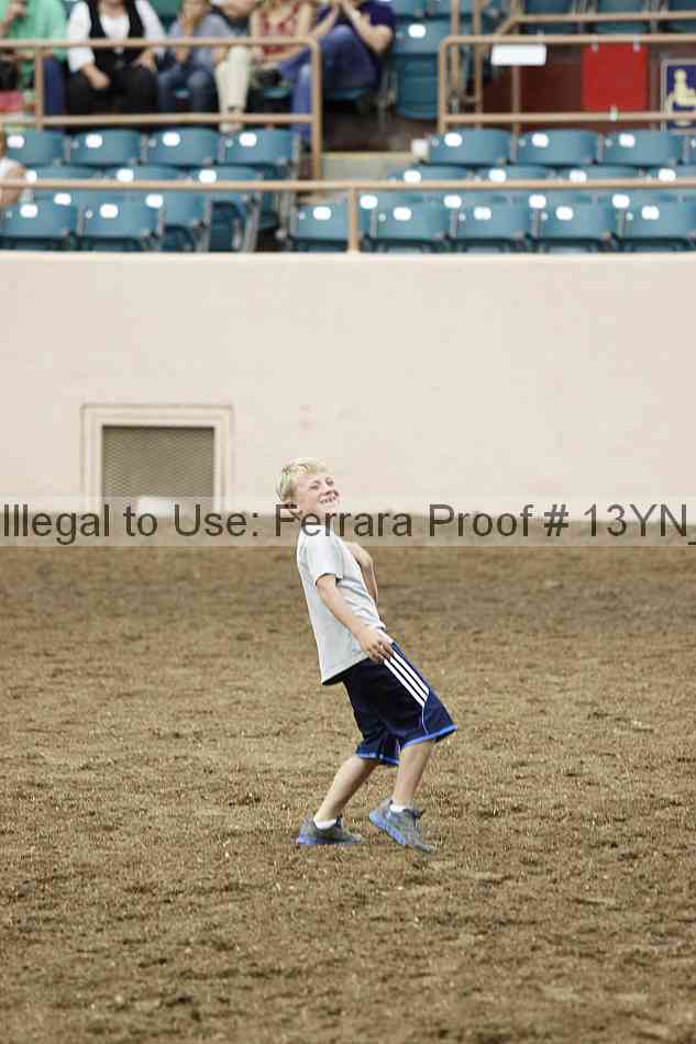 Proof 13yn_13251