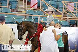 13yn_13266 proof