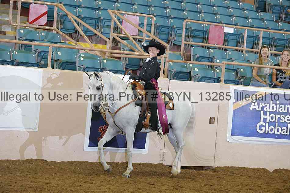 Proof 13yn_13285