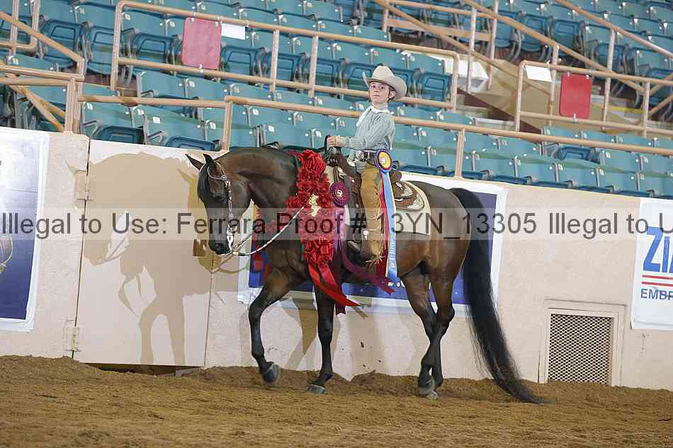 Proof 13yn_13305