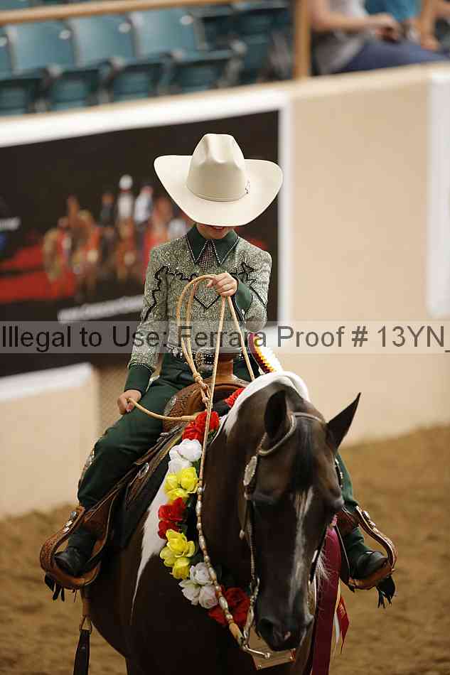 Proof 13yn_13309