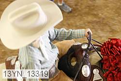 13yn_13319 proof