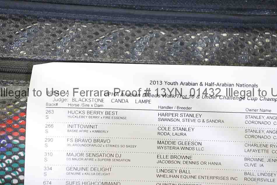 Proof 13yn_01432