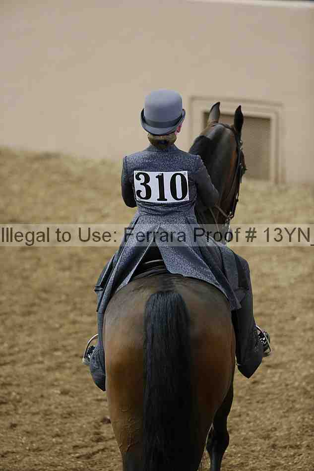 Proof 13yn_01433