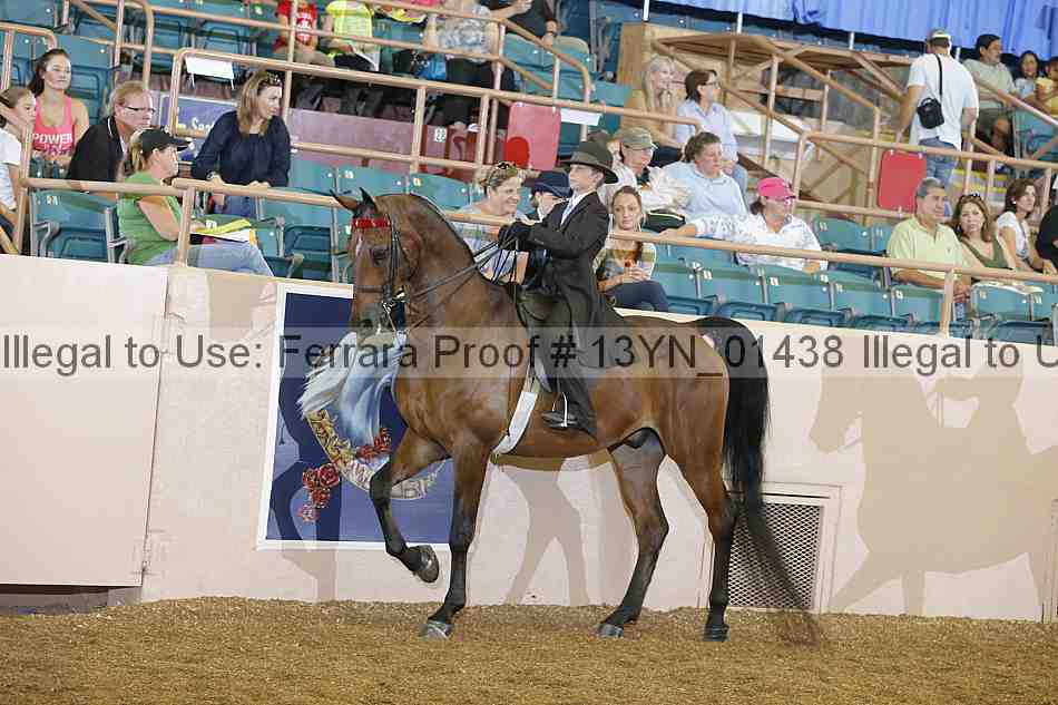 Proof 13yn_01438