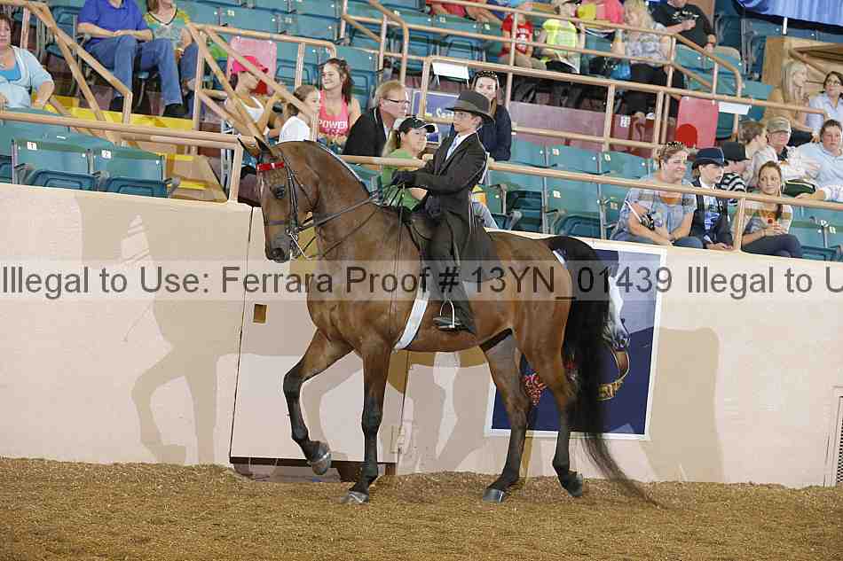 Proof 13yn_01439