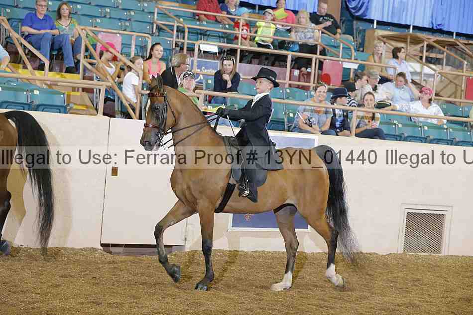 Proof 13yn_01440