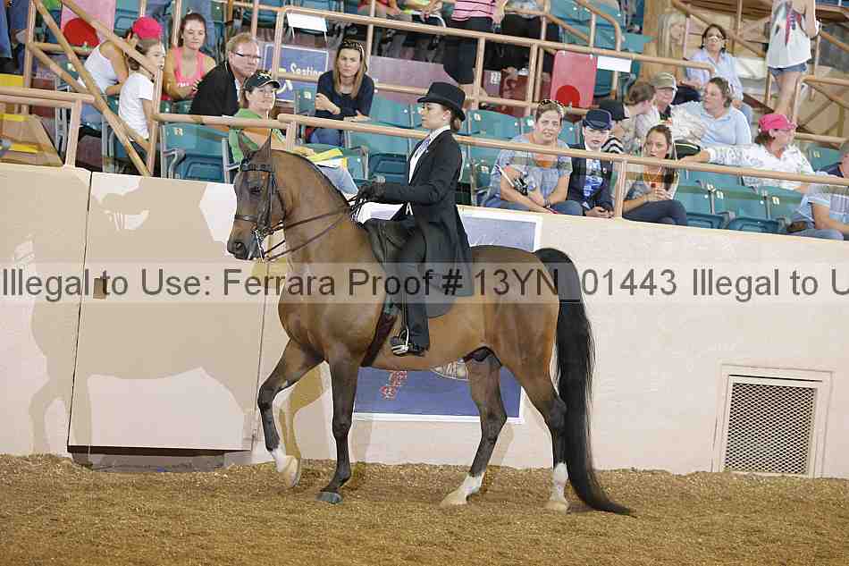 Proof 13yn_01443