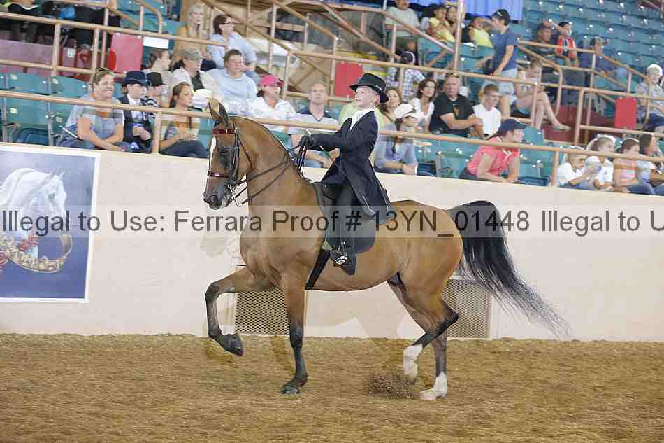 Proof 13yn_01448