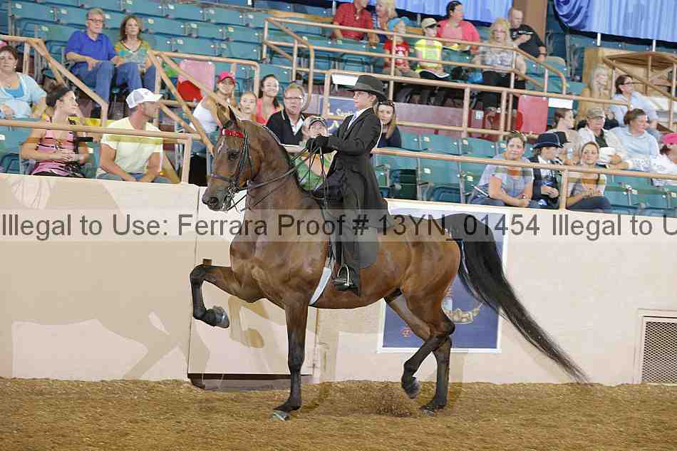 Proof 13yn_01454