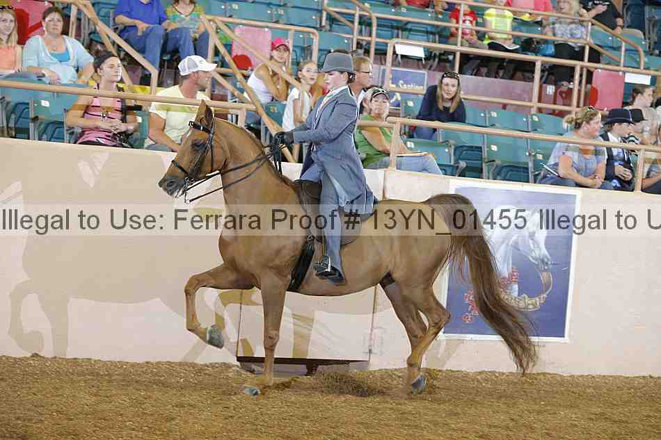 Proof 13yn_01455