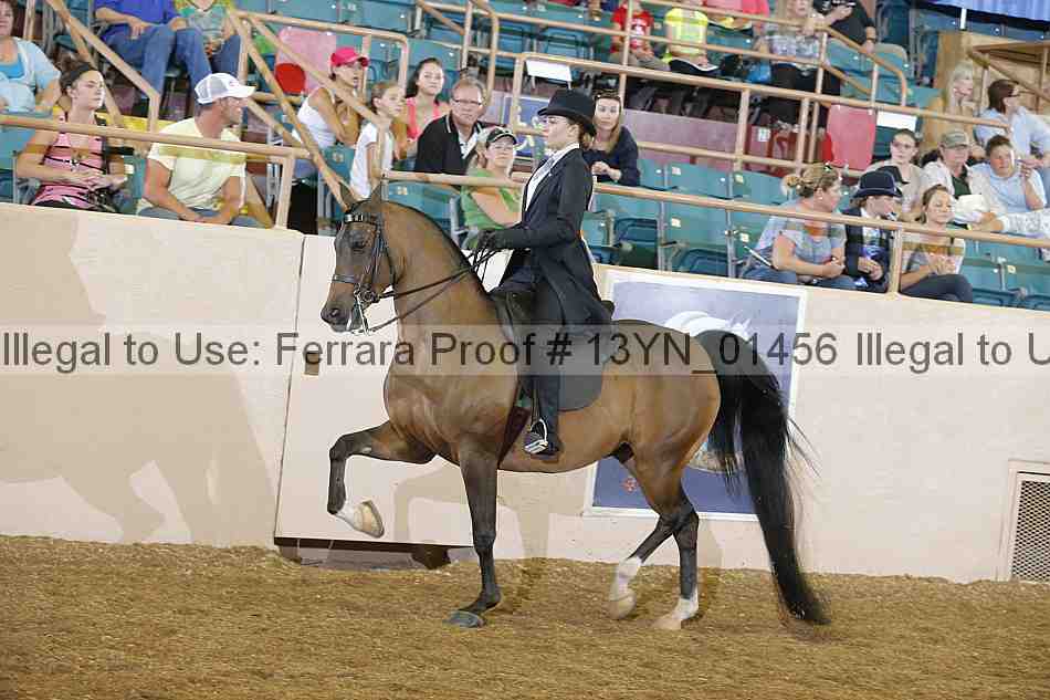 Proof 13yn_01456