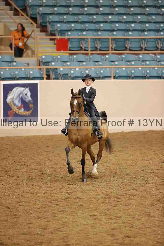 Proof 13yn_01457
