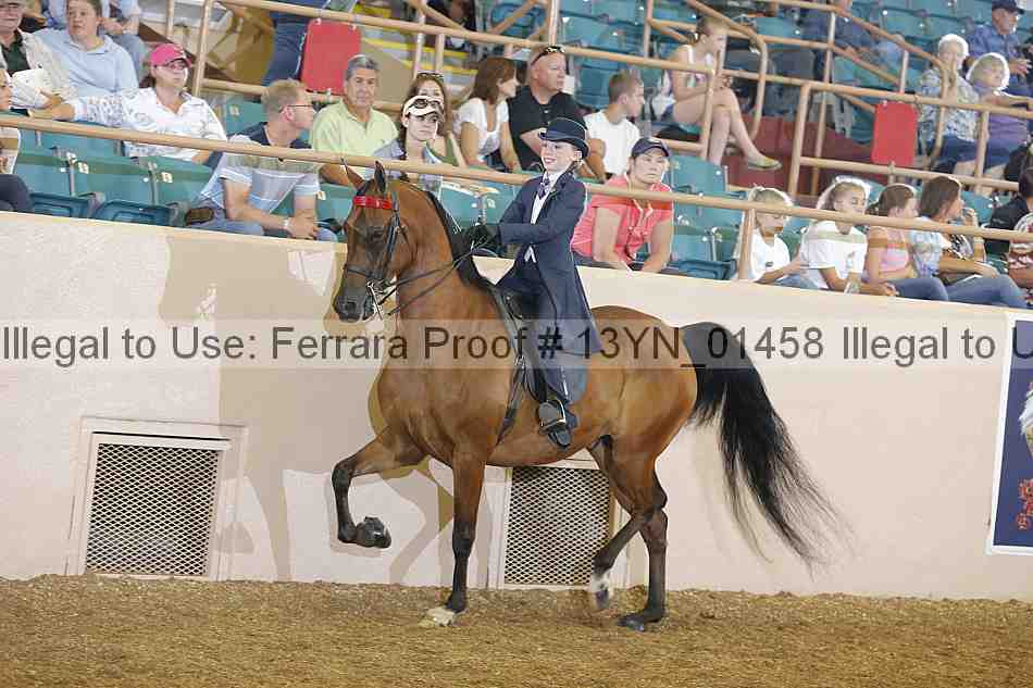 Proof 13yn_01458