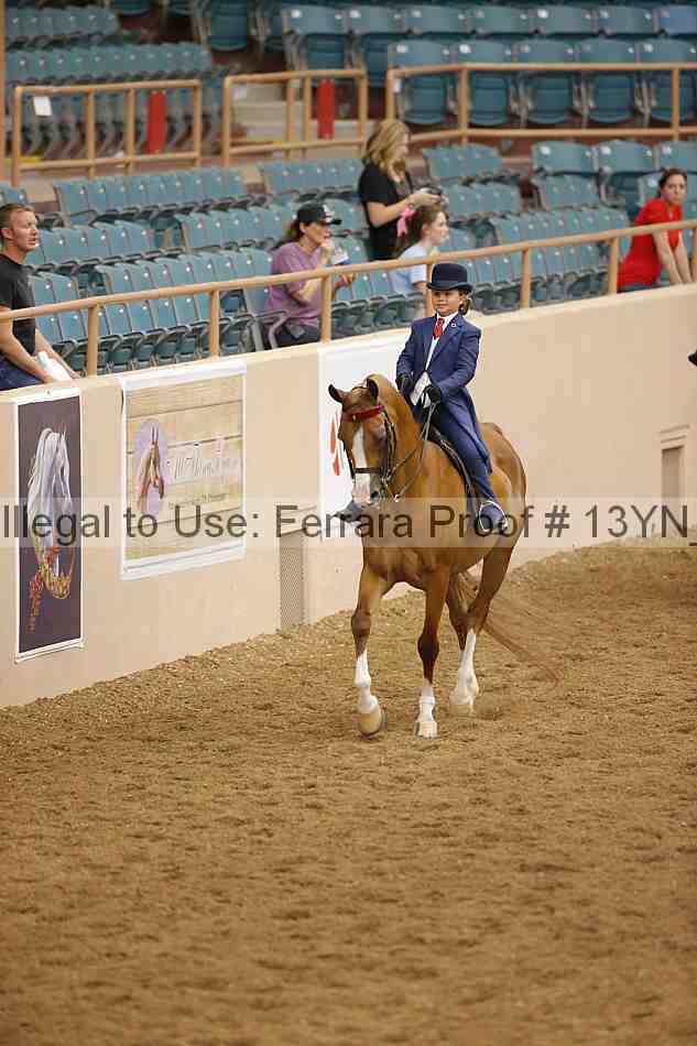 Proof 13yn_01459