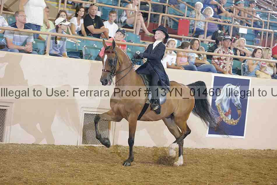 Proof 13yn_01460