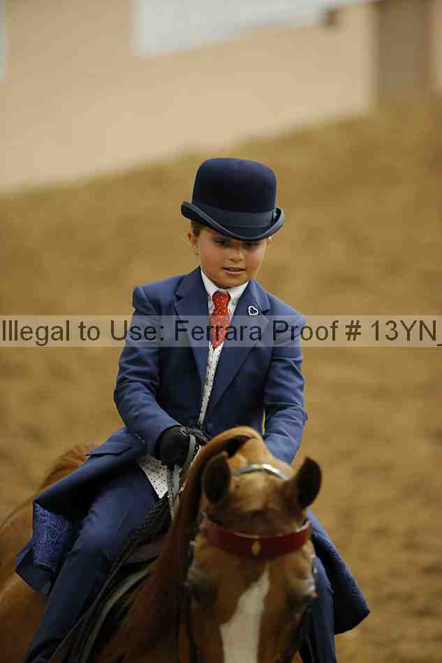 Proof 13yn_01462