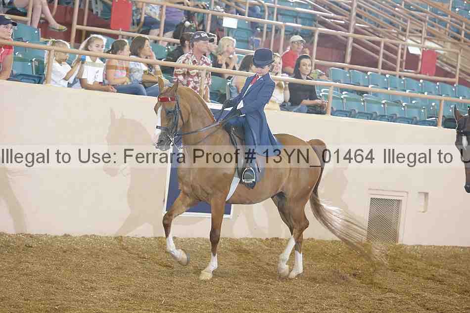 Proof 13yn_01464