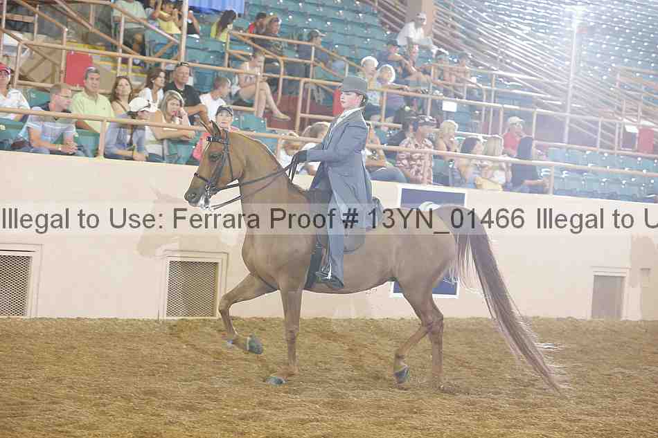 Proof 13yn_01466