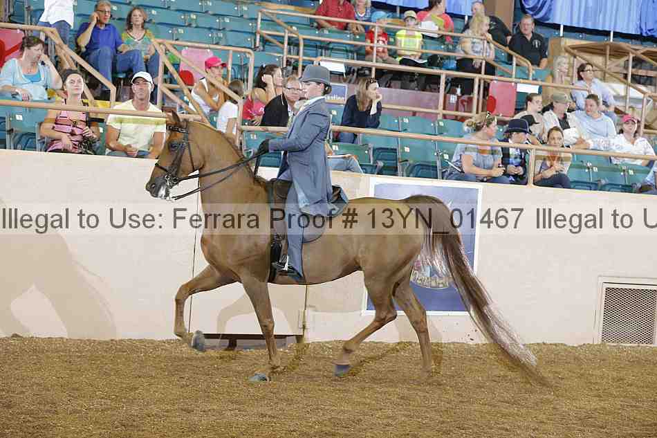 Proof 13yn_01467