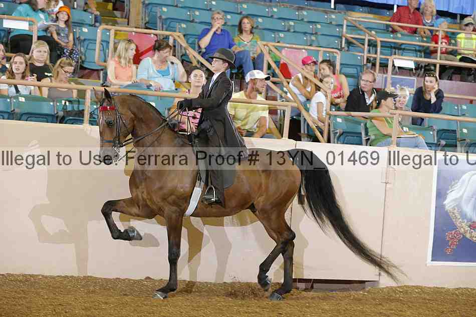 Proof 13yn_01469